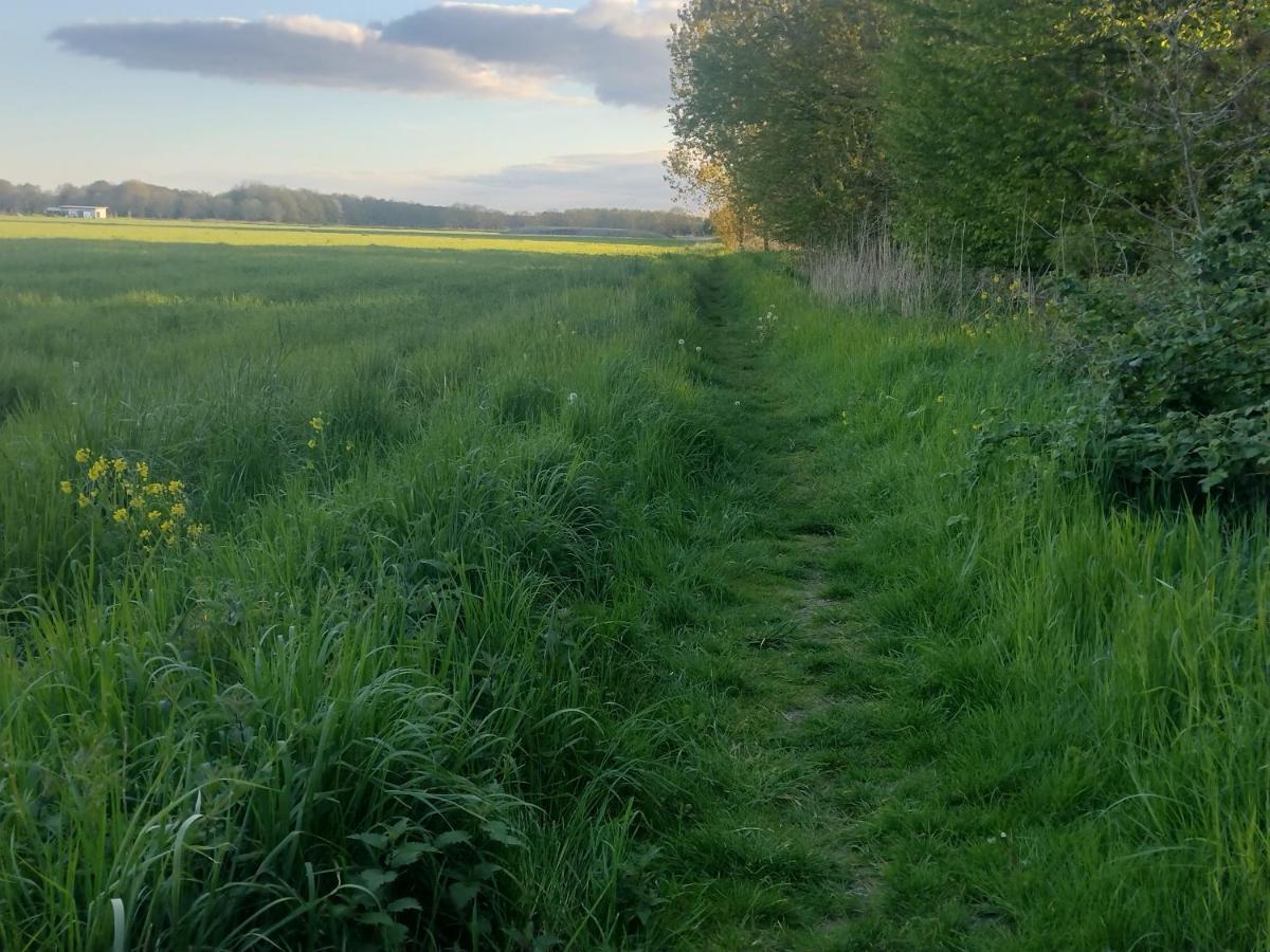 Tuinhuisje In Het Groen อัลเมียเรอ ภายนอก รูปภาพ